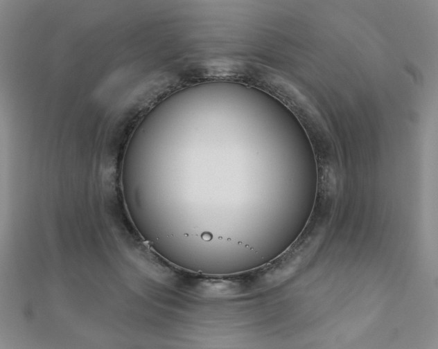X0000110900557200906181325
