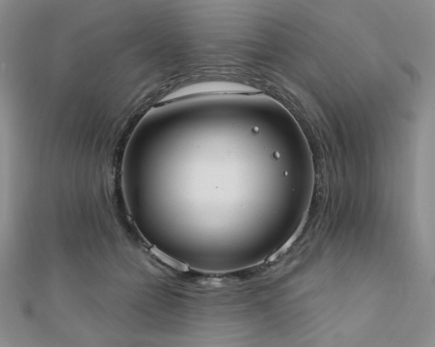 X0000110900558200906181325