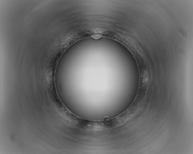 X0000110900559200906181325