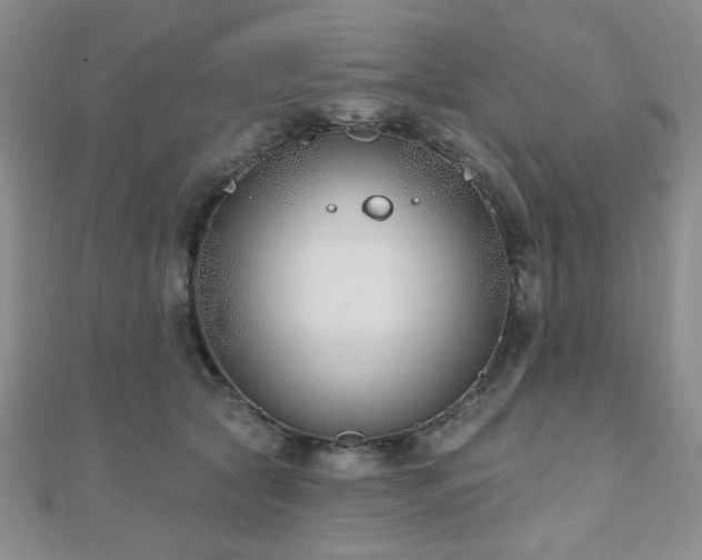 X0000110900561200906181325