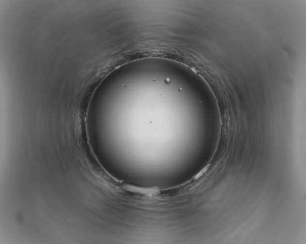 X0000110900562200906181325