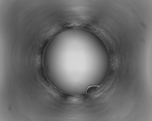 X0000110900563200906181325