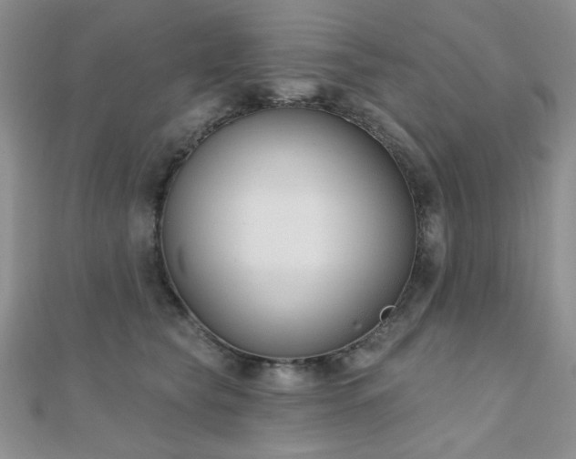 X0000110900565200906181325