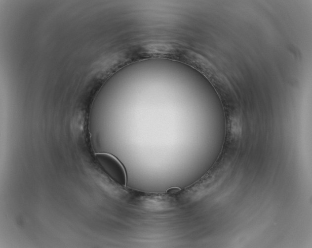 X0000110900567200906181325