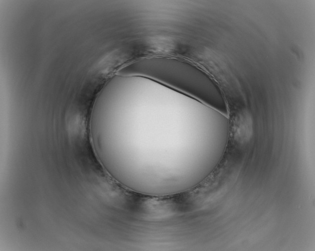 X0000110900568200906181325