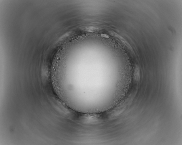 X0000110900569200906181325
