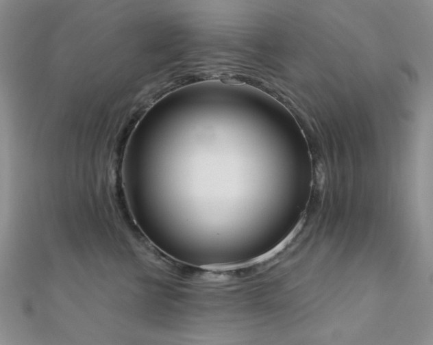 X0000110900570200906181325