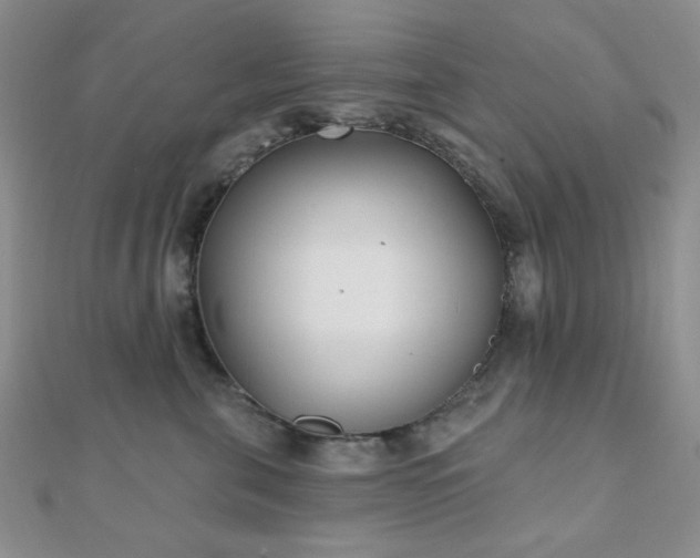 X0000110900571200906181325