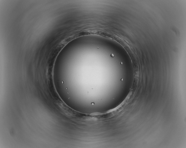 X0000110900572200906181325