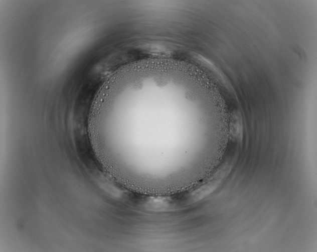 X0000110900573200906181325