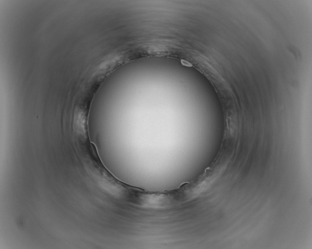 X0000110900575200906181325