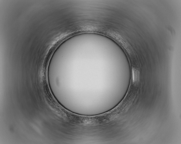 X0000110900579200906181324