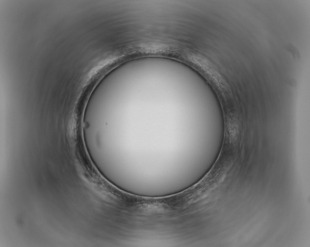 X0000110900583200906181324