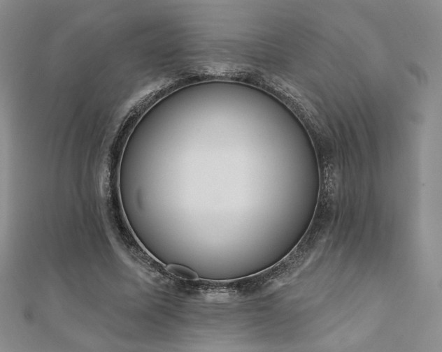 X0000110900587200906181324