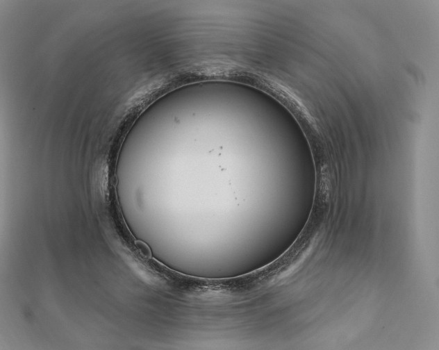 X0000110900589200906181324