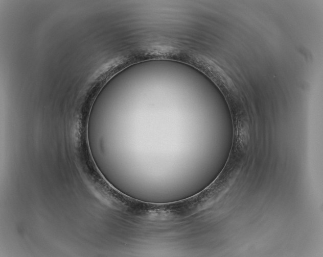 X0000110900591200906181324