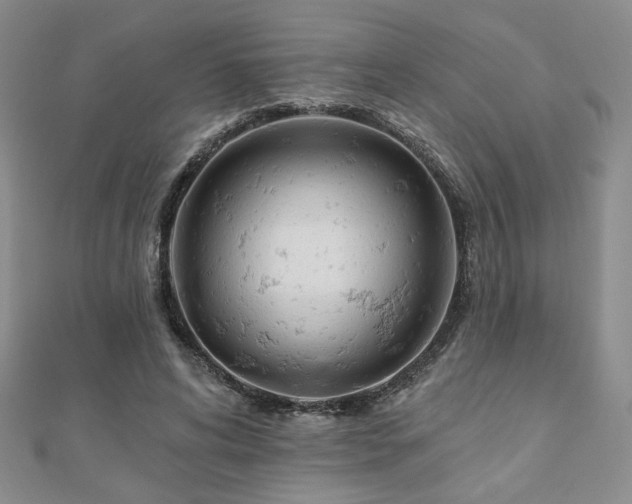 X0000110900592200906181324