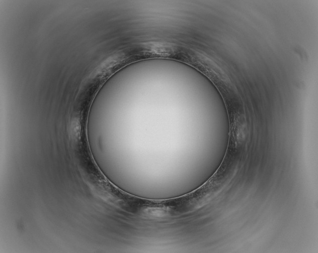 X0000110900595200906181324
