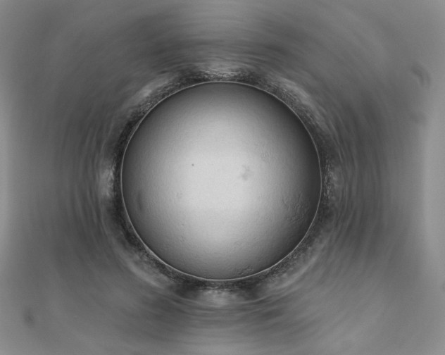 X0000110900596200906181324