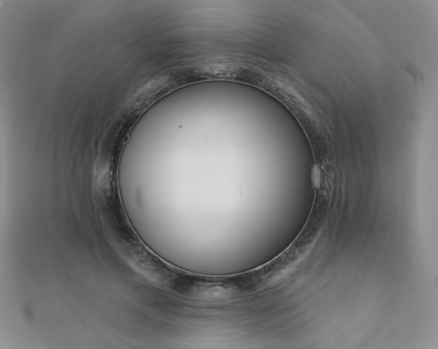 X0000110900597200906181324