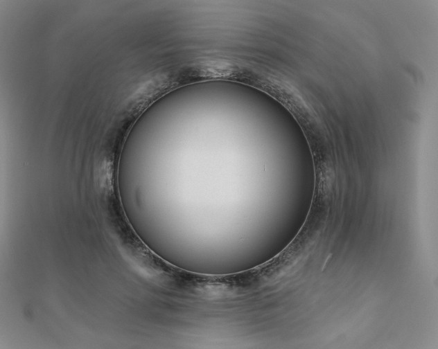 X0000110900598200906181324