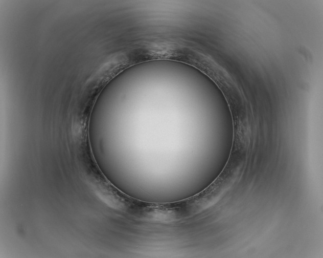 X0000110900601200906181324
