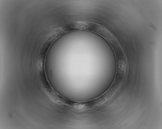 X0000110900602200906181324