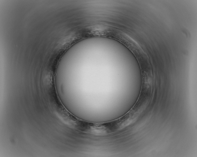 X0000110900603200906181324