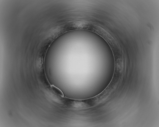 X0000110900605200906181324