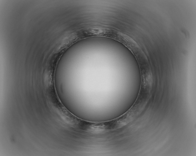 X0000110900606200906181324
