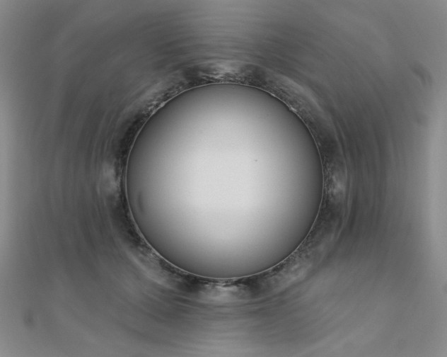 X0000110900607200906181324