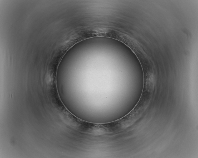 X0000110900608200906181324