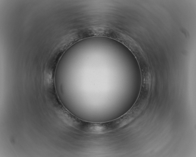 X0000110900610200906181324