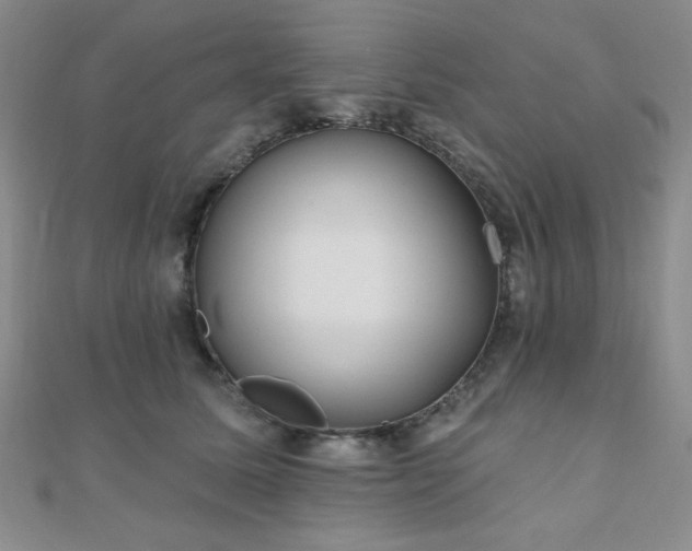 X0000110900611200906181324