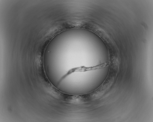 X0000110900612200906181324