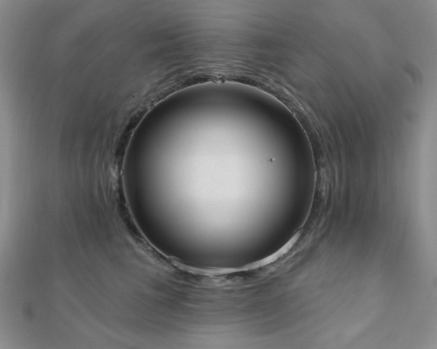 X0000110900613200906181324