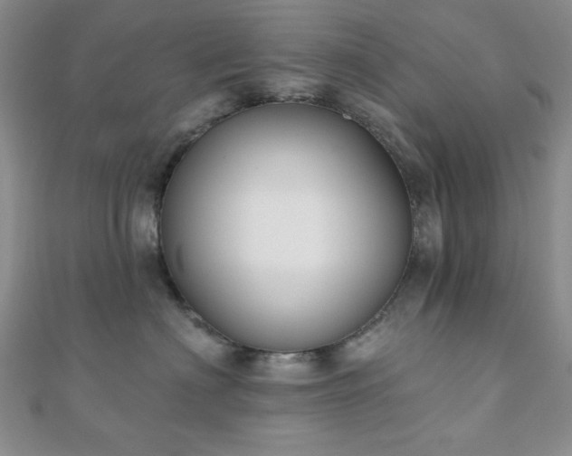 X0000110900622200906181324