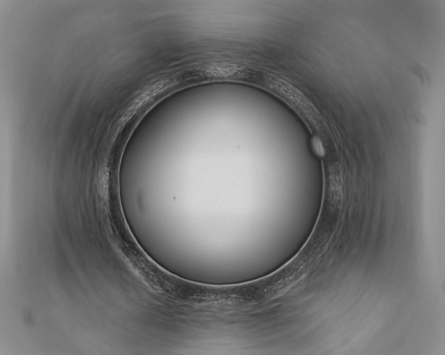 X0000110900626200906181323