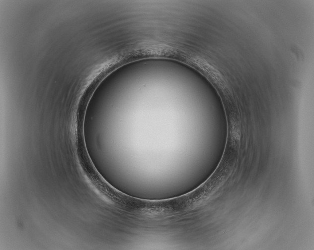 X0000110900630200906181323