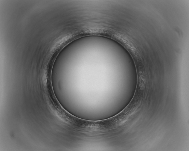 X0000110900631200906181323