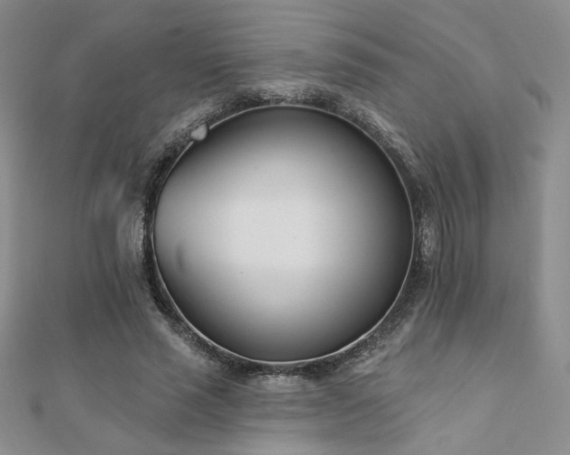 X0000110900637200906181323