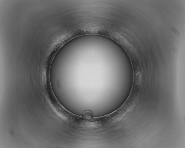 X0000110900638200906181323