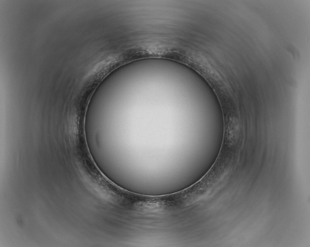 X0000110900639200906181323