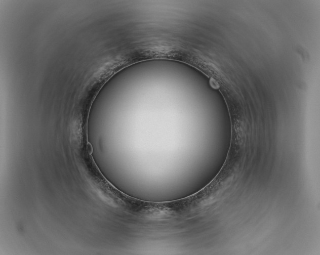 X0000110900642200906181323