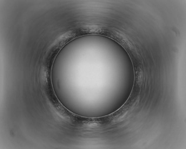 X0000110900643200906181323