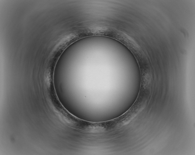 X0000110900644200906181323