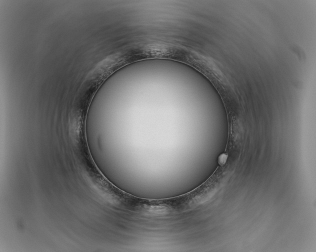 X0000110900645200906181323