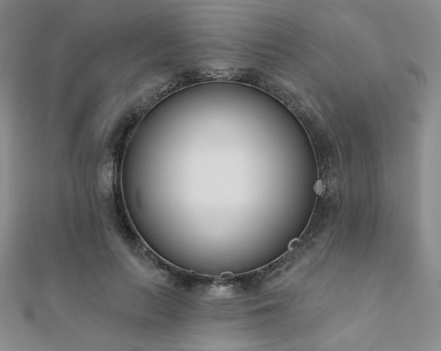 X0000110900647200906181323