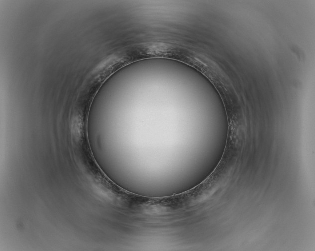 X0000110900648200906181323