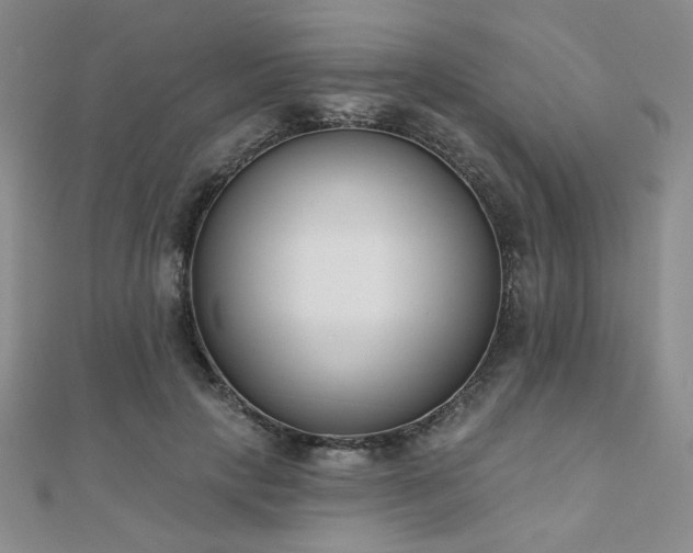 X0000110900649200906181323